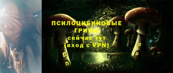 мяу мяу мука Алексеевка