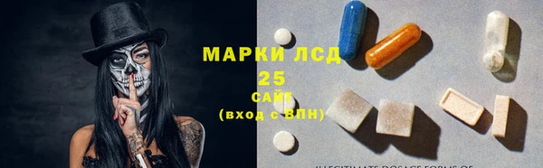 индика Абаза