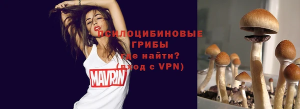 spice Алзамай