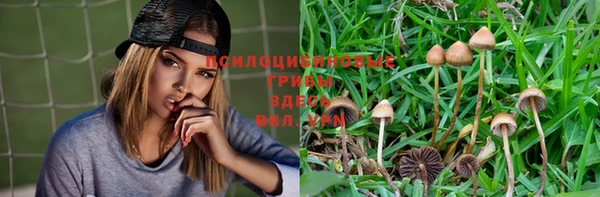 мяу мяу мука Алексеевка